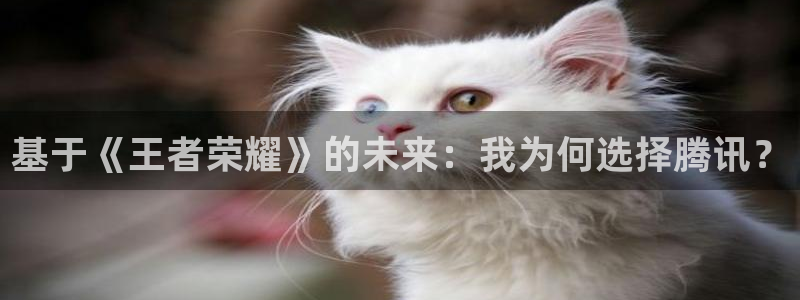 非凡游戏官网是哪个国家的衣服品牌：基于《王者荣耀》的未来：我为何选择腾讯？