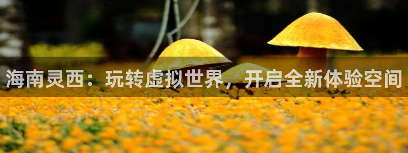 非凡游戏客服电话是多少