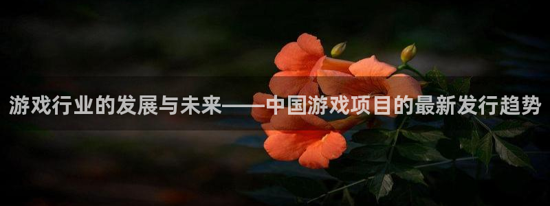 广东非凡游戏官网电商bruno：游戏行业的发展与未来——中国游戏项目的最新发行趋势