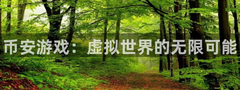 非凡游戏代理开号怎么开：币安游戏：虚拟世界的无限可能