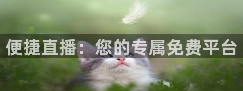 178直播足球免费