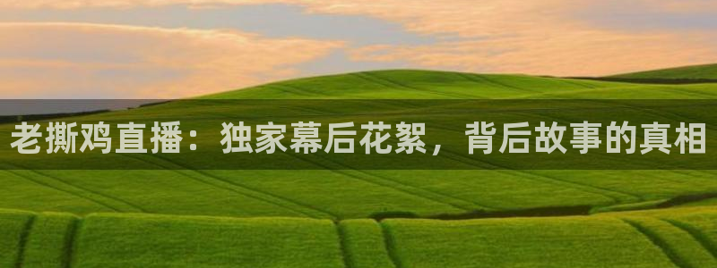 新闻图片