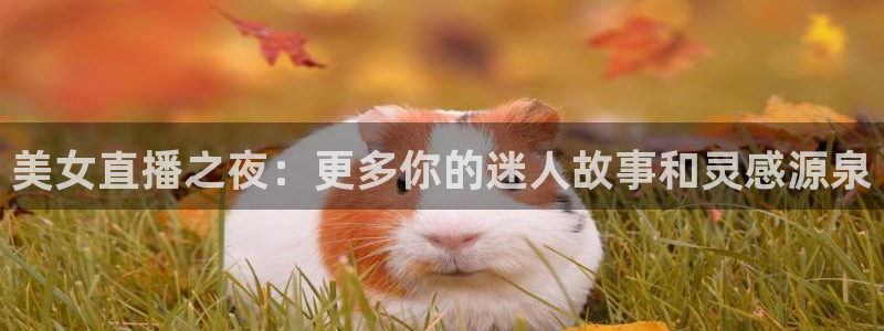 178体育直播比赛在线观看：美女直播之夜：更多你的迷人故事和灵感源泉