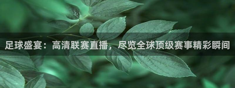 178直播体育赛事nba新版.好游网.org：足球盛宴：高清联赛直播，尽览全球顶级赛事精彩瞬间